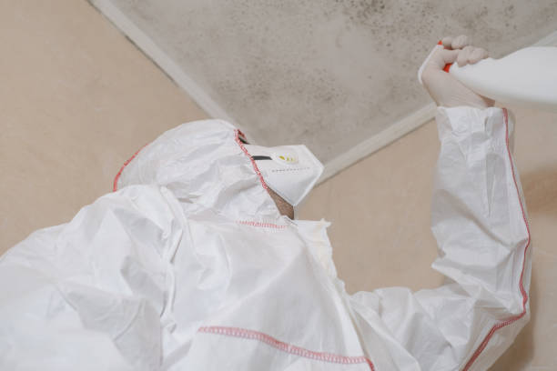 Best Crawl Space Mold Removal  in North Rock Springs, WY