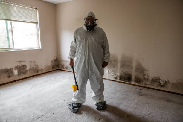 Best Toxic Mold Removal  in North Rock Springs, WY